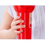 Hape Early Melodies Wooden Mighty Echo Microphone E0337A 6943478019027