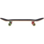 ΑΘΛΟΠΑΙΔΙΑ print spray heart complete τροχοσανίδα 8 - rasta 72.020503999E800 5060626668324