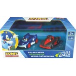 Sonic The Hedgehog carrera pull speed: team sonic racing - sonic vs. shadow twinpack - 1:43 15813023 9003150130239