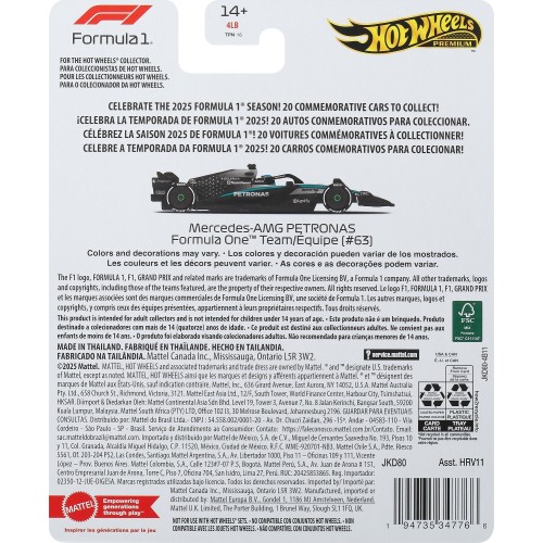 Mattel Hot Wheels Race Team Mercedes-Benz - Driver 1 HRV11 / JKD80 194735347766