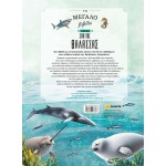 susaeta The Big Book of Sea Animals 2794 9786182243336