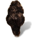 Wild Republic Sea Otter Plush, Stuffed Animal, Plush Toy, Gifts For Kids, Cuddlekins 8 Inches 10881 092389108811