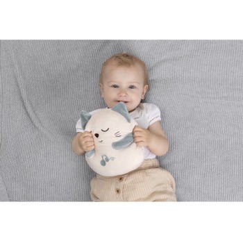 Chicco Baby Kitten With Melody For 0+ Years Y01-11567-00 8058664164868