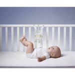 Chicco Βρεφικό Παιχνίδι Λαγουδάκι με μελωδία Για 0+ Μηνών Y01-11129-00 8058664151509