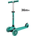As company Shoko Premium 3 in 1 Tropical Mist for 12+ Months 5004-50532 5203068505325