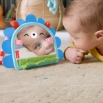 Mattel Fisher-Price Prop 'N Go Portable Mirror Baby Tummy Time Sensory Activity Toy For Newborns JHB45 194735327065