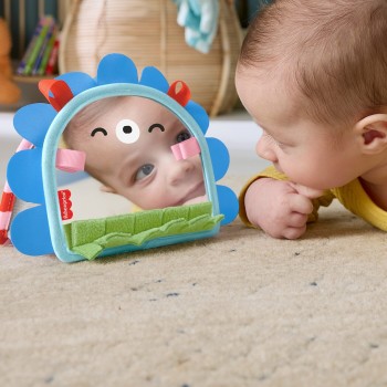 Mattel Fisher-Price Prop 'N Go Portable Καθρεφτακι Σκαντζοχοιρακι JHB45 194735327065