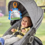 Mattel Fisher-Price Prop 'N Go Portable Καθρεφτακι Σκαντζοχοιρακι JHB45 194735327065