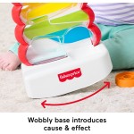 Mattel Fisher-price Drop Through Rock-a-stack Baby & Toddler Developmental Activity Toy, 5 Coins JLB81 194735360475
