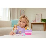 Mattel barbie chelsea σετ παρτυ με τσαϊ JJB40 194735338801
