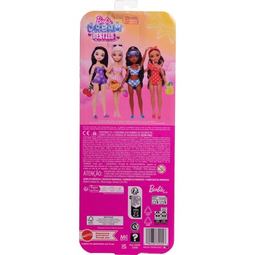 Mattel Dream Besties Impulse Asst 4 Barbie Dream Besties Renee Doll JGH82 / JGH86 194735314553