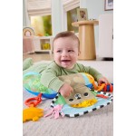 Mattel fisher-price μαξιλαράκι δραστηριοτήτων με αρκουδάκι JHB44 194735327195