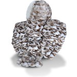 WILD PLANET Wild Republic Snowy Owl Plush, Stuffed Animal, Plush Toy, Gifts for Kids, Cuddlekins, 12 Inches 10957 092389109573