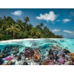 Ravensburger 2000 pcs Puzzle Sea 17441 4005556174416