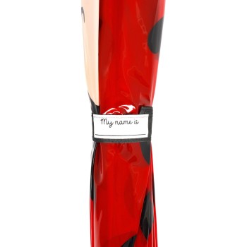Legami Ladybug Kids Umbrella - Dancin in the Rain ladybug KUM0007 8052694113179