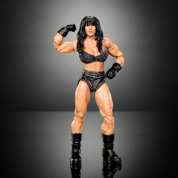 Mattel WWE Elite Collection Premium Live Event Chyna Action Figure Set, Summerslam Series HVF76 / JHX82 194735337941