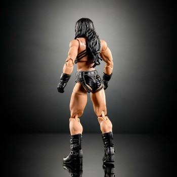 Mattel WWE Elite Collection Premium Live Event Chyna Action Figure Set, Summerslam Series HVF76 / JHX82 194735337941