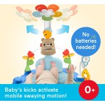 Mattel fisher-price γυμναστήριο 3 σε 1 με περιστρεφομενο λουλουδι HYR60 194735254347