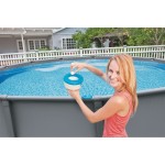 Intex Συσκευή Χλωρίωσης Πισίνας 7" 20cmx17cmx10cm 29041NP 6941057404561