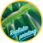 Intex Palm Leaf Mat Φουσκωτό Στρώμα Θαλάσσης Πράσινη 213x142cm 58782 6941057413402
