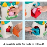 Mattel Fisher-price Light-up & Roll Frog Musical Ball Drop Activity Toy for Baby & Toddler, 3 Balls JLB96 194735360505