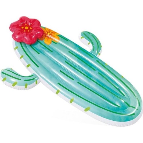 INTEX cactus float, inflated size: 1.80m x 1.30m x 28cm eu 58793 6941057425856