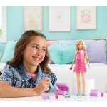 Mattel barbie malibu ατελειωτες περιπετειες JMJ47 194735378111