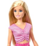 Mattel Barbie Family & Friends Barbie 'malibu' Doll & Accessories JMJ47 194735378111
