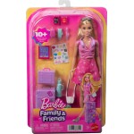 Mattel Barbie Family & Friends Barbie 'malibu' Doll & Accessories JMJ47 194735378111
