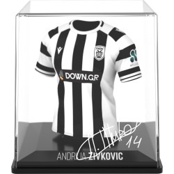 fancollex Myjersey: paok - andrija zivkovic (home 25/26) (53my00011) 53MY00011 5600366911689