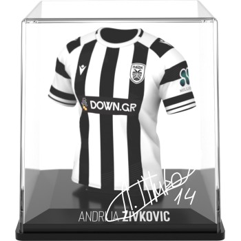 fancollex Myjersey: paok - andrija zivkovic (home 25/26) (53my00011) 53MY00011 5600366911689