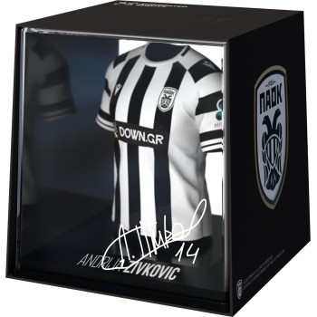 fancollex Myjersey: paok - andrija zivkovic (home 25/26) (53my00011) 53MY00011 5600366911689