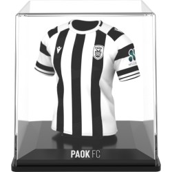 fancollex Myjersey: paok (home 25/26) (53my00013) 53MY00013 5600366911702