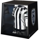 fancollex Myjersey: paok (home 25/26) (53my00013) 53MY00013 5600366911702