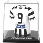 fancollex Myjersey: paok (home 25/26) (53my00013) 53MY00013 5600366911702