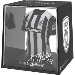 fancollex MyJersey - PAOK FC Home 2024/25 Andrija Zivkovic 53MY00003 5600790517204