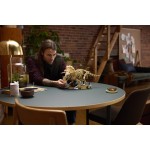 LEGO® Jurassic World Απολιθώματα Δεινοσαύρων: Τρικεράτοπας 77985 77985 5702018062708