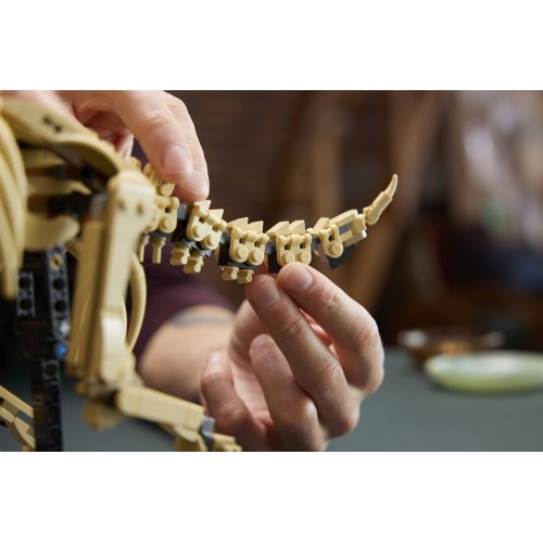 LEGO Icons Jurassic World Dinosaur Fossils: Triceratops 77985 5702018062708