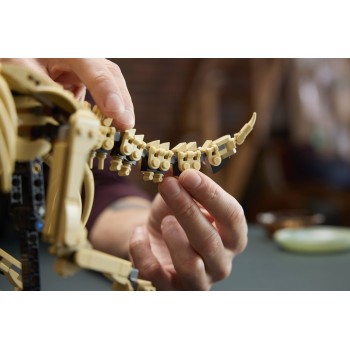 LEGO Icons Jurassic World Dinosaur Fossils: Triceratops 77985 5702018062708