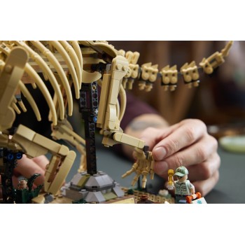 LEGO® Jurassic World Απολιθώματα Δεινοσαύρων: Τρικεράτοπας 77985 77985 5702018062708