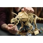 LEGO® Jurassic World Απολιθώματα Δεινοσαύρων: Τρικεράτοπας 77985 77985 5702018062708