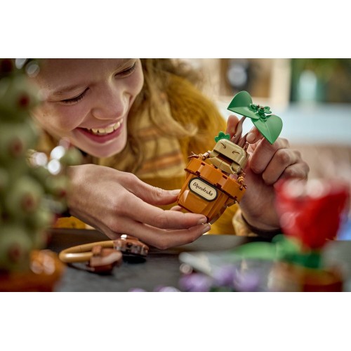 LEGO® Harry Potter™ Φυτά Μαθήματος Βοτανολογίας του Χόγκουαρτς, Σετ 76474 76474 5702018063484