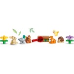 LEGO® DUPLO® Ανακαλύψεις στο Δάσος με Άγρια Ζώα 10480 10480 5702018056585