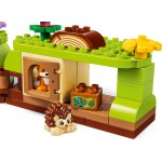 LEGO® DUPLO® Ανακαλύψεις στο Δάσος με Άγρια Ζώα 10480 10480 5702018056585