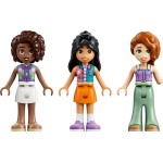 LEGO® Friends Περιστρεφόμενα Φλιτζάνια με Λουλούδια & Νεράιδες, Παιχνίδι 42702 42702 5702018060599