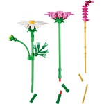 LEGO® Botanicals Λουλούδια Κόσμος, Σετ κατασκευής 11514 11514 5702018091593