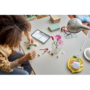 LEGO® Botanicals Λουλούδια Κόσμος, Σετ κατασκευής 11514 11514 5702018091593