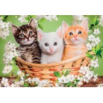 Clementoni Puzzle Super Color Happy Puppies 2x60 pcs 1200-24820 8005125248209