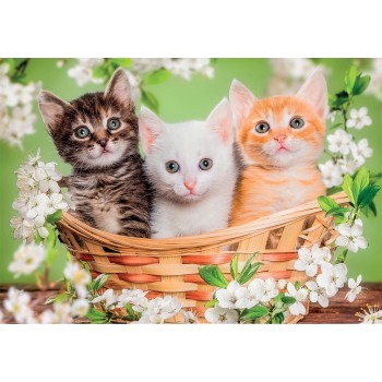 Clementoni Puzzle Super Color Happy Puppies 2x60 pcs 1200-24820 8005125248209