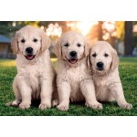 Clementoni Puzzle Super Color Happy Puppies 2x60 pcs 1200-24820 8005125248209